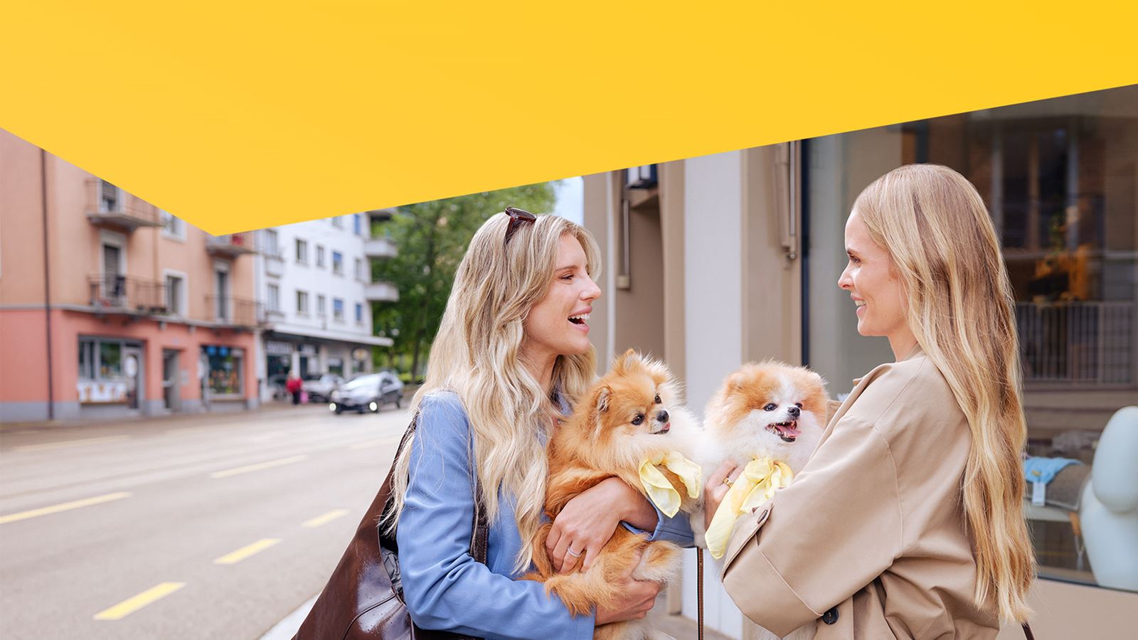 Due donne parlano con i cani sul braccio