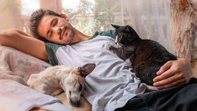 Homme dormant avec un chien et un chat